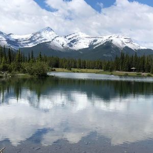 Meet your Posher, Janice